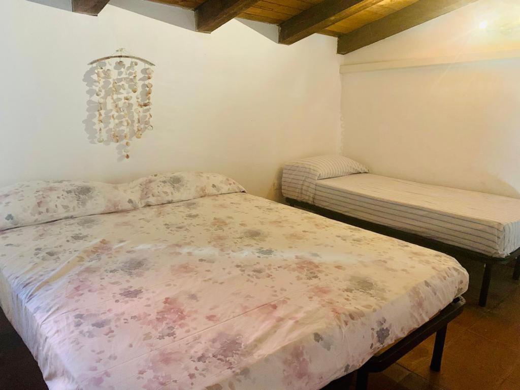 Appartamento I Geranei Centro San Teodoro  Dış mekan fotoğraf